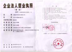 企业法人营业执照